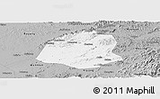 Gray Panoramic Map of Leping