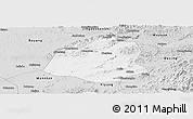 Silver Style Panoramic Map of Leping