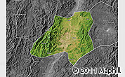 Satellite Map of Nanfeng, desaturated