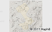 Shaded Relief 3D Map of Yongfeng, semi-desaturated