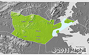 Physical 3D Map of Yongxiu, desaturated