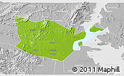 Physical 3D Map of Yongxiu, lighten, desaturated