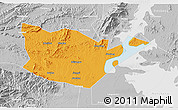 Political 3D Map of Yongxiu, lighten, desaturated