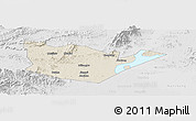 Shaded Relief Panoramic Map of Yongxiu, lighten, desaturated