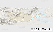 Shaded Relief Panoramic Map of Yongxiu, lighten