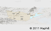Shaded Relief Panoramic Map of Yongxiu, lighten, semi-desaturated