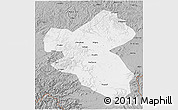 Gray 3D Map of Fusong