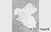 Gray Map of Fusong