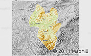 Physical 3D Map of Tonghua Shi, desaturated