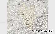 Shaded Relief 3D Map of Tonghua Shi, semi-desaturated