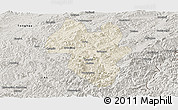 Shaded Relief Panoramic Map of Tonghua Shi, semi-desaturated