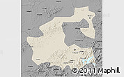 Shaded Relief 3D Map of Yongji, darken, desaturated