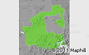 Political Map of Yongji, desaturated