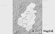 Gray Map of Lingyuan