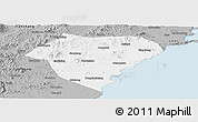Gray Panoramic Map of Xingcheng