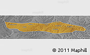 Physical Panoramic Map of Dongsheng, desaturated