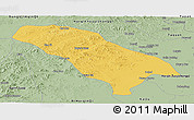 Savanna Style Panoramic Map of Jarud Qi