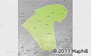 Physical 3D Map of Naiman Qi, desaturated
