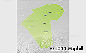 Physical 3D Map of Naiman Qi, lighten, desaturated