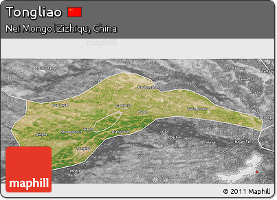 Satellite 3D Map of Tongliao, desaturated