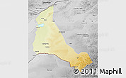Physical 3D Map of Xinbarag Zuoqi, desaturated