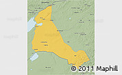 Savanna Style 3D Map of Xinbarag Zuoqi