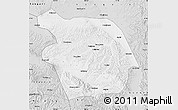 Silver Style Map of Haiyuan