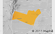 Political Map of Yongning, lighten, desaturated