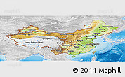 Physical Panoramic Map of China, lighten, desaturated, land only