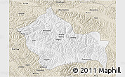 Classic Style 3D Map of Jigzhi