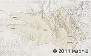 Shaded Relief 3D Map of Zekog, lighten