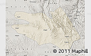 Shaded Relief Map of Zekog, semi-desaturated