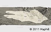 Shaded Relief Panoramic Map of Zekog, darken