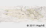 Shaded Relief Panoramic Map of Zekog, lighten