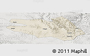 Shaded Relief Panoramic Map of Zekog, lighten, semi-desaturated