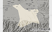 Shaded Relief Map of Chang An, darken, semi-desaturated