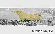 Satellite Panoramic Map of Chang An, lighten, desaturated