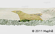 Satellite Panoramic Map of Chang An, lighten