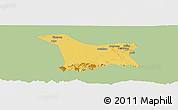 Savanna Style Panoramic Map of Chang An, single color outside