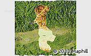 Physical 3D Map of Chenggu, satellite outside
