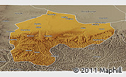 Physical Panoramic Map of Dingbian, semi-desaturated