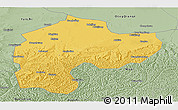 Savanna Style Panoramic Map of Dingbian