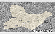 Shaded Relief 3D Map of Fu Xian, darken, desaturated