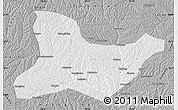Gray Map of Fu Xian