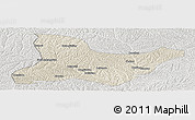 Shaded Relief Panoramic Map of Fu Xian, lighten, semi-desaturated