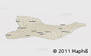 Shaded Relief Panoramic Map of Fu Xian, single color outside