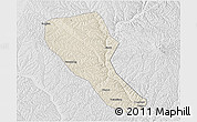 Shaded Relief 3D Map of Jia Xian, lighten, desaturated