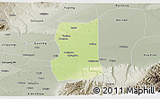 Physical 3D Map of Lintong, semi-desaturated