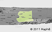 Physical Panoramic Map of Lintong, darken, desaturated