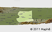 Physical Panoramic Map of Lintong, darken